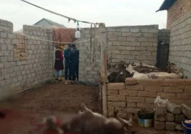 Foto: Ijtimoiy tarmoqlar Ijtimoiy tarmoqlarda