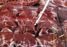 Қозоғистонда 2025 йил учун божхона маълумотлари эълон