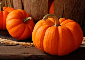 Ошқовоқнинг фойдали хусусиятлари туфайли ундан ҳатто