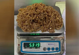 Hindistonda 5,3 kg tilla taqinchoqlar bilan qo‘lga tushgan o‘zbekistonliklar holatiga izoh berildi фото