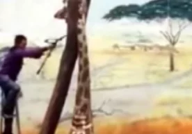 Хитойнинг Куньмин шаҳридаги ҳайвонот боғида сақланган 10