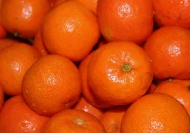 Қадимги Хитойда мандаринлар бахт, бойлик ва узоқ умр кўриш