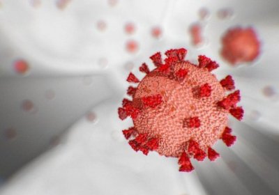 Virusolog: «Koronavirusning narsalar yuzasi orqali tarqalishi isbotlanmagan» фото