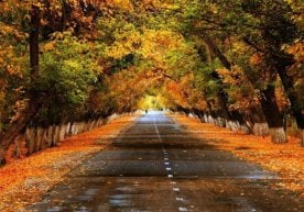 Ўзгидромет 20 ноябр учун об-ҳаво маълумотини янгилади.