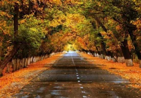 Uzhydromet has updated the weather information for