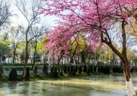 Ўзбекистонда 2026–2030 йиллар даврида амалга ошириладиган