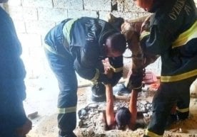 Жиззах вилоятида содир бўлган ғайриоддий ҳолат