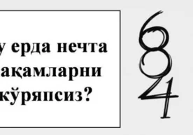 Тасвирга қаранг. Сизнинг фикрингизча бу расмда нечта рақам
