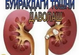 Калий тузлари буйракларда сийдик ажралишини кўпайтиради.