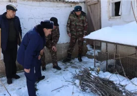 Фото: “Ҳисор” давлат қўриқхонаси Қашқадарё вилояти