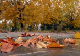 Маълумотларга кўра, мамлакатнинг катта қисмида