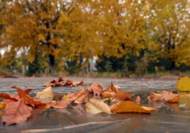 Маълумотларга кўра, мамлакатнинг катта қисмида