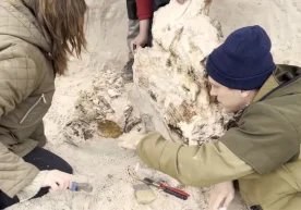 Ленинград вилоятида Санкт-Петербург давлат университети