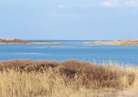 Айдар-Арнасой кўллар тизими ишончли бошқарувга берилади фото