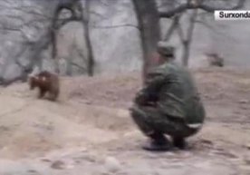 Сариосиё туманидаги хонадонлардан бирида айиқ боласи боқилган (видео) фото