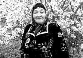 Қарши шаҳар Равоқ маҳалласида жойлашган вилоят