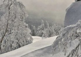 Ўзгидромет мамлакат аҳолисини 10–12 декабрь кунларида