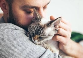 Финляндияда эркак мушугининг ўлими сабабли вақтинча