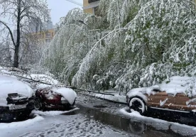 27 aprel kuni Moskva shahri va Moskva viloyatida