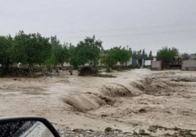 Foto: Yandex Joriy yilning 8–12 may kunlari davomida