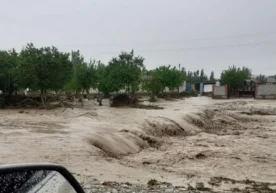 Foto: Yandex Joriy yilning 8–12 may kunlari davomida