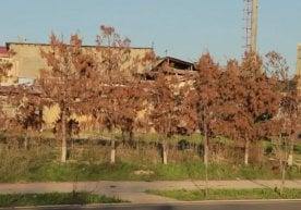 Тошкент шаҳрида Шайхонтоҳур тумани, “Юнона” МФЙ, Абу Али