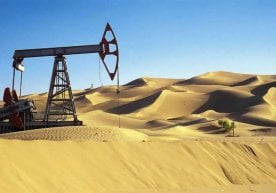 Нефт, газ, кўмир ва турли фойдали қазилмалар кўплаб