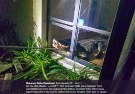 Foto: Twitter / Clearwater Police Department Florida