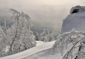 Ўзгидрометнинг тезкор огоҳлантиришига кўра, 8–10 декабрь