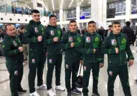 Бутунжаҳон бокс сериялари (WSB) VIII мавсум гуруҳ