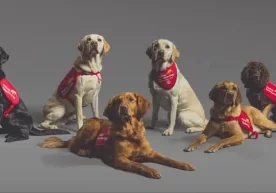 Мутахассислар Medical Detection Dogs хайрия ташкилотининг
