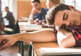 Кундузги қисқа ва тез давом этадиган мизғиб олишдан сўнг