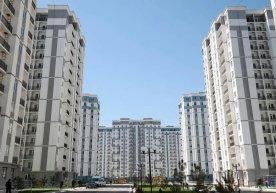 2025 йилнинг январь–сентябрь ойлари мобайнида Ўзбекистонда