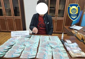 Toshkentda qalbaki 200 ming so‘mlik kupyuralarni sotishga uringan shaxs ushlandi фото