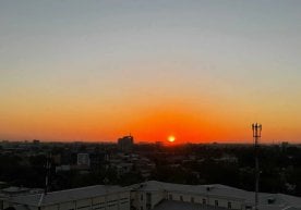 13 ноябр куни Ўзбекистоннинг кўпгина ҳудудларида