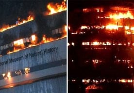Ҳиндистоннинг Деҳли шаҳрида жойлашган Табиат тарихи миллий