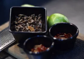 Кўпчилик суваракларни жирканч ҳашарот деб ҳисоблайди, аммо