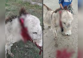 Foto: Buxoro viloyati IIB matbuot xizmati Buxoroda