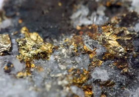 Visual Capitalist портали АҚШ Геология хизмати (USGS)