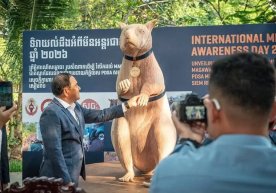 В Камбодже установлен памятник знаменитой крысе-разведчику