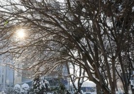 Бугун мамлакатнинг айрим минтақаларида об-ҳаво ўзгарувчан