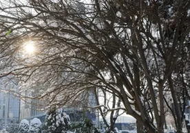 Бугун мамлакатнинг айрим минтақаларида об-ҳаво ўзгарувчан