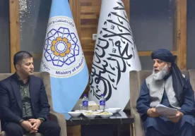 El Director de la Agencia de Desarrollo de la Industria