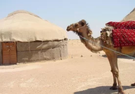 Bugun kunduz kuni O‘zbekiston bo‘yicha quruq va juda issiq