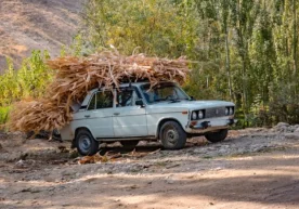 Ўзбекистон Олий Мажлиси Қонунчилик палатаси депутати,