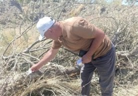 Бухоро вилоятининг Олот туманида содир бўлган экологик