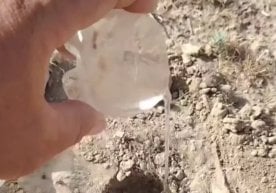 Aşağıdaki makale çölde su bulmanın kolay ve etkili bir