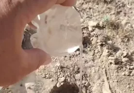 Aşağıdaki makale çölde su bulmanın kolay ve etkili bir