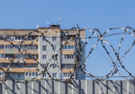 Rossiyada bir yarim oy ichida uchinchi olim davlatga xiyonat ishi bo‘yicha hibsga olindi фото