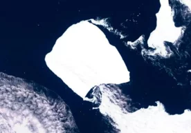 Фото: NASA Дунёдаги энг йирик А23а айсберги Скотия